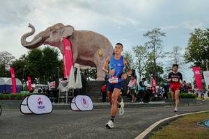 BIB: 
                            <button type="button" onclick="openModal(26528939)" class="btn btn-primary btn-sm float-right btn-popup" data-toggle="modal" data-target=".modal-high-quality">
                        <i class="fas fa-shopping-cart"></i> Add to Cart
                    </button>
                                            <button type="button" onclick="isThisMe(26528939, true)" class="btn btn-success btn-sm float-right btn-popup btn-isme hidden" data-toggle="tooltip" data-placement="bottom" title="นี่คือรูปของคุณใช่ไหม คลิกที่นี่เพื่อเอาเข้าอัลบั้ม">
                        <i class="fas fa-plus"></i> Add to album
                    </button>
                    <button type="button" onclick="isThisMe(26528939, false)" class="btn btn-warning btn-sm float-right btn-popup btn-isnotme hidden">
                        <i class="fas fa-ban"></i> Remove from album
                    </button>